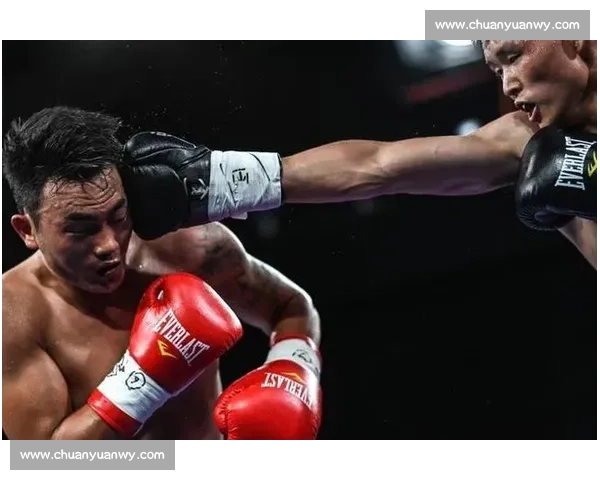 拳坛焦点战麦达纳对决布罗纳谁能重塑荣耀之路巅峰对抗引爆世界拳迷期待