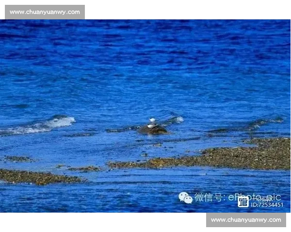 加拿大与澳大利亚两国文化差异与发展对比分析